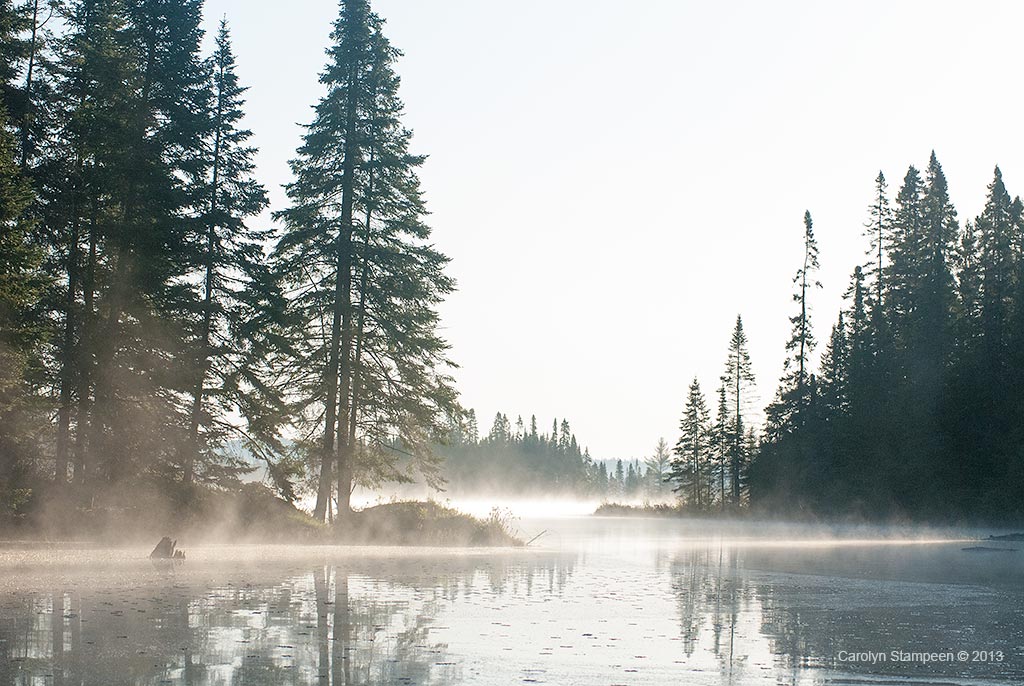 _DSC2316_mist_1024