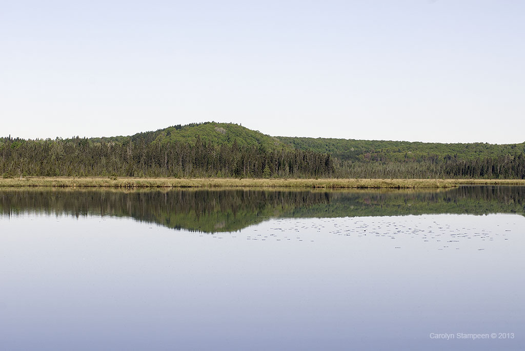 _DSC2493river_1024