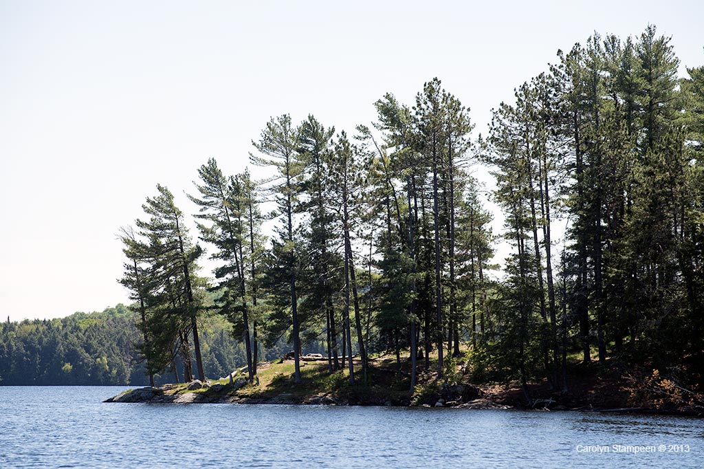 _DSC7442campsite_1024