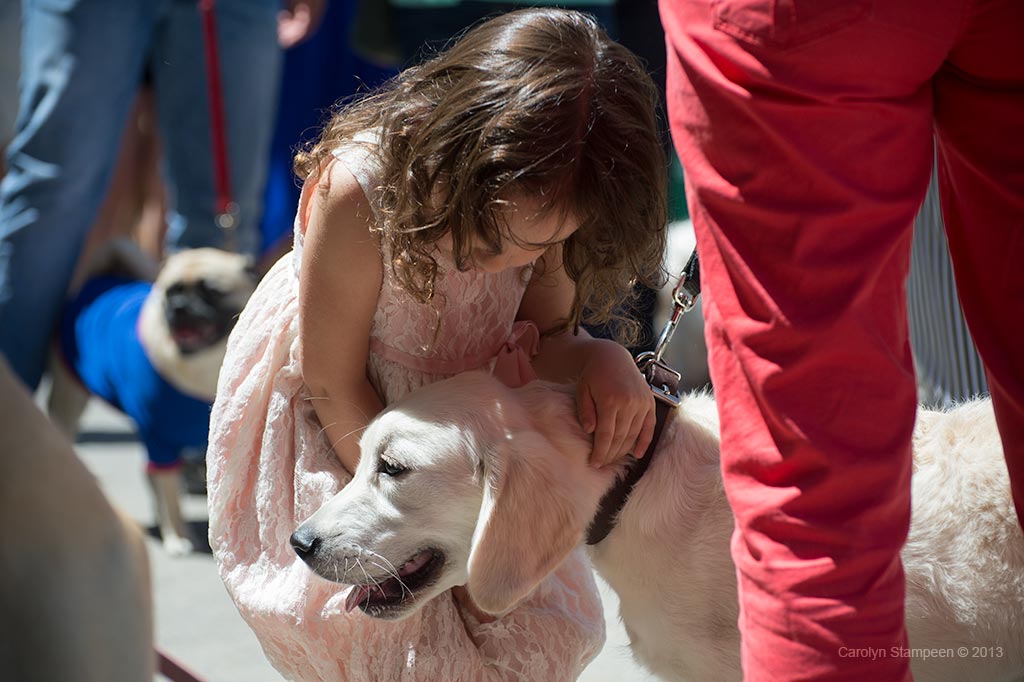 _DSC1786dogGir