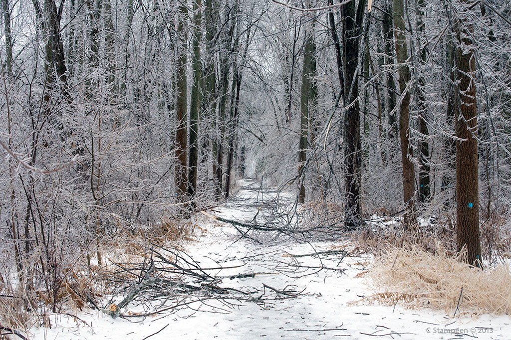 _DSC6842ice