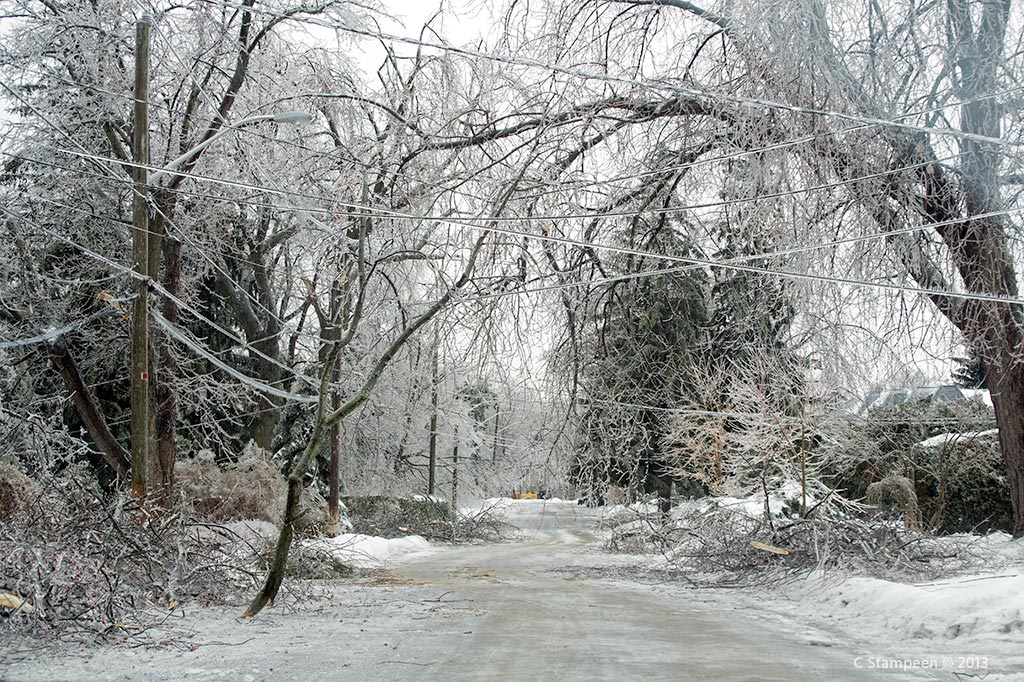 _DSC7039ice