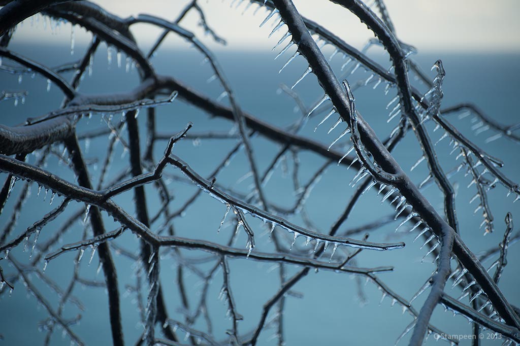 _DSC7731ice