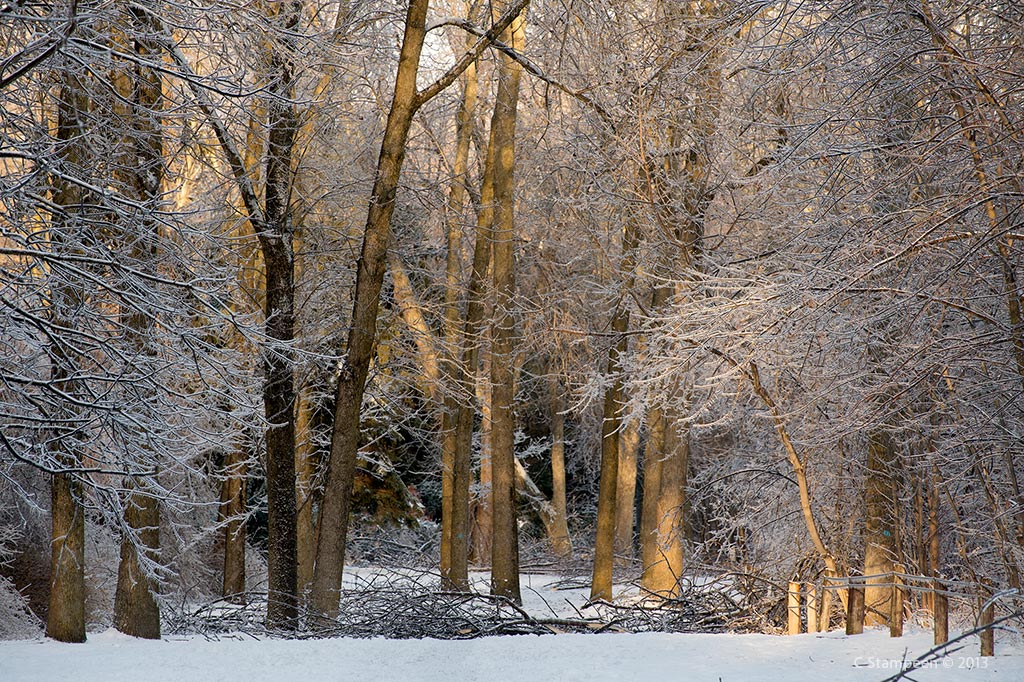 _DSC7765ice_1024