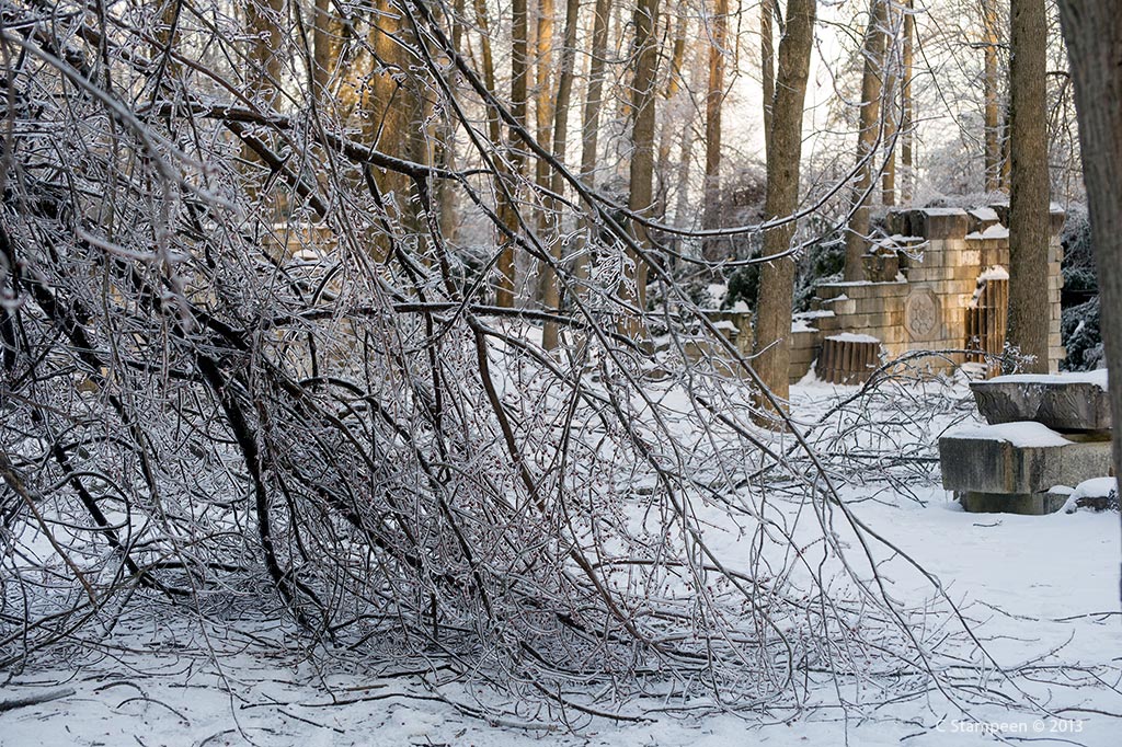 _DSC7830ice_1024