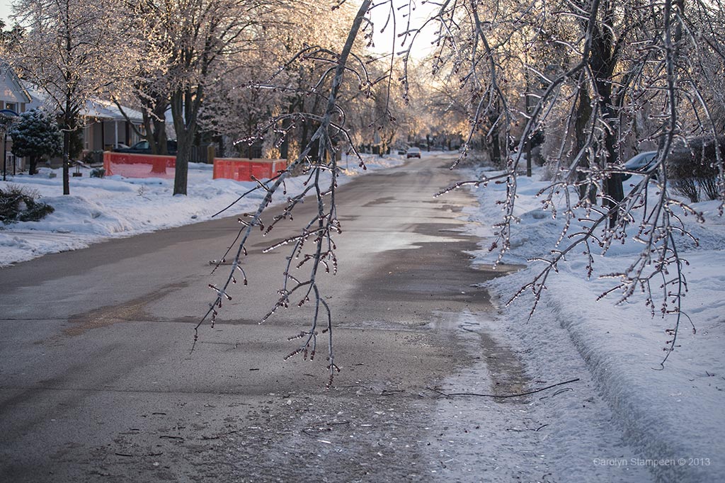 _DSC7904ice_1024