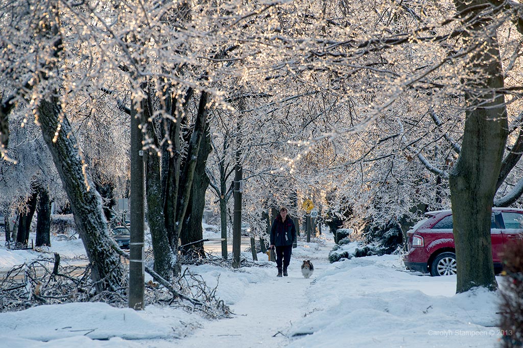 _DSC7938ice_1024