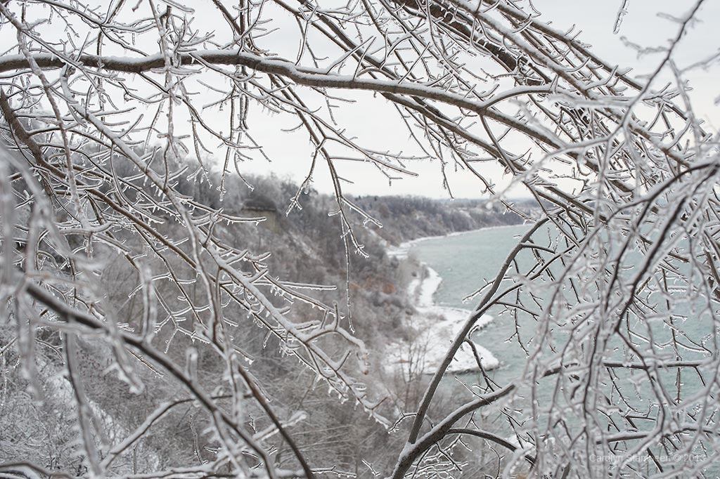 _DSC8096snow_1024