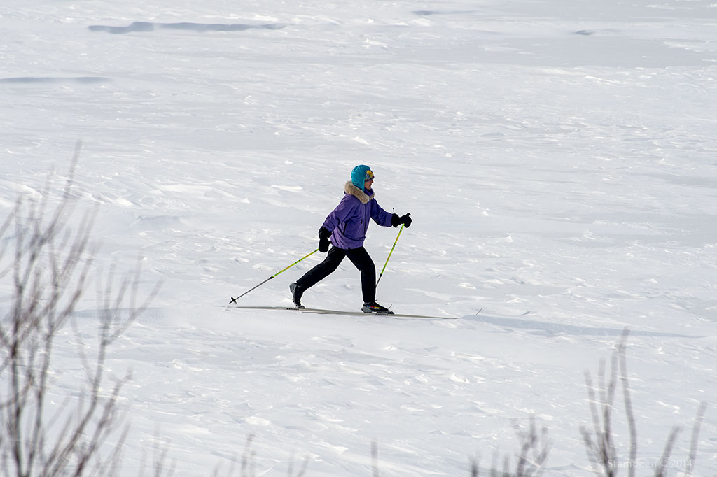 _DSC1853skier_1024