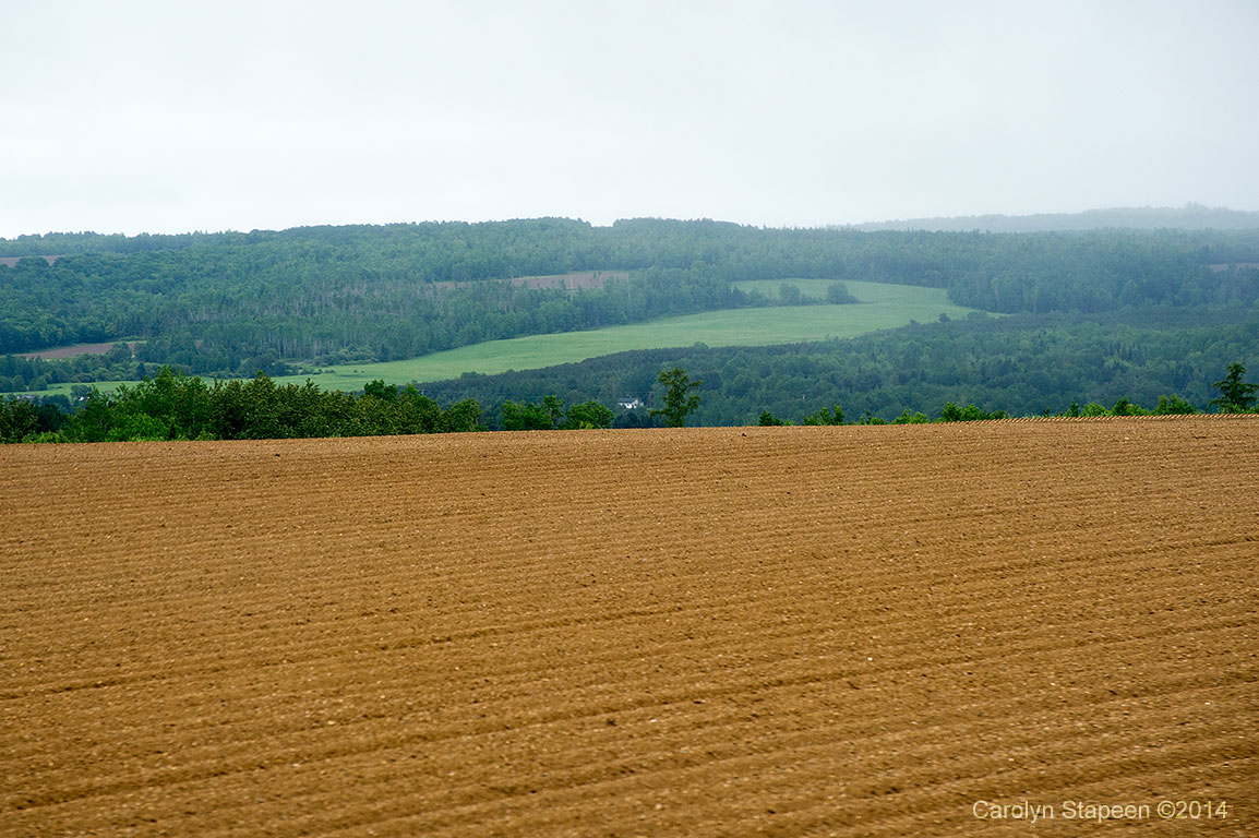 _DSC3167hwy_1024