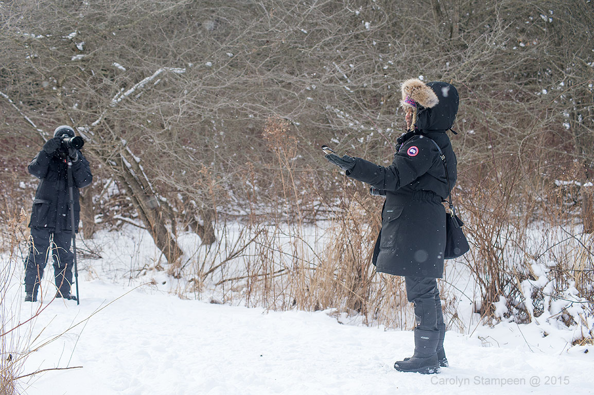 _DSC2794cad_1024