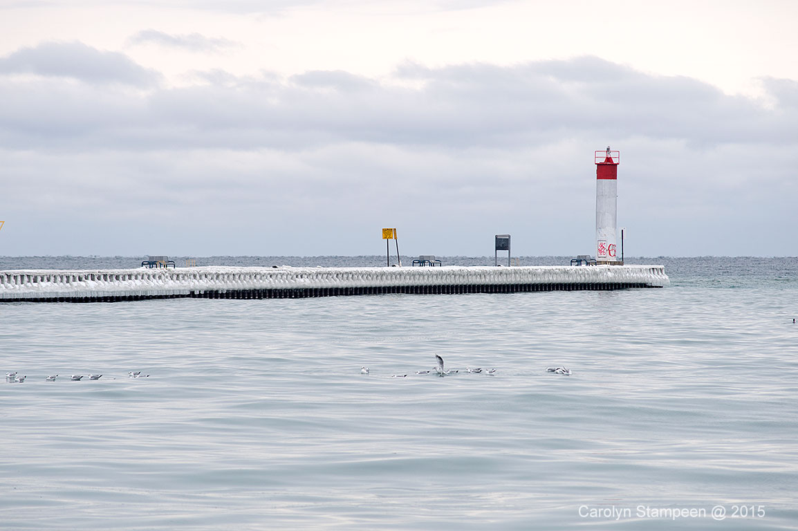 _DSC3034whitbyHarbour_1024