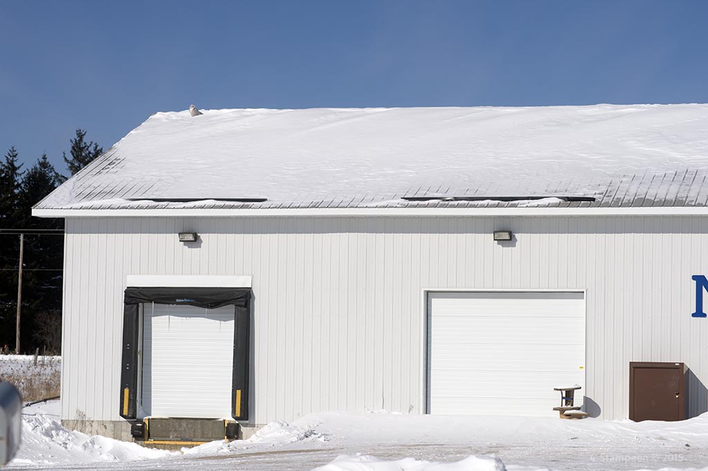 _DSC8974snowy_1024