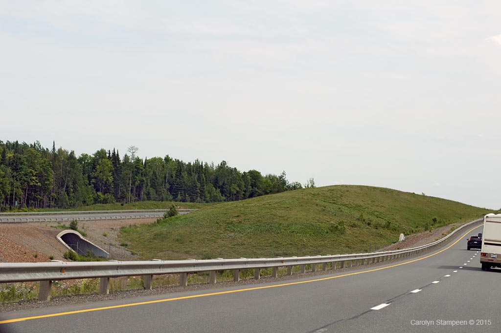 _DSC9687deerTunnel_1024