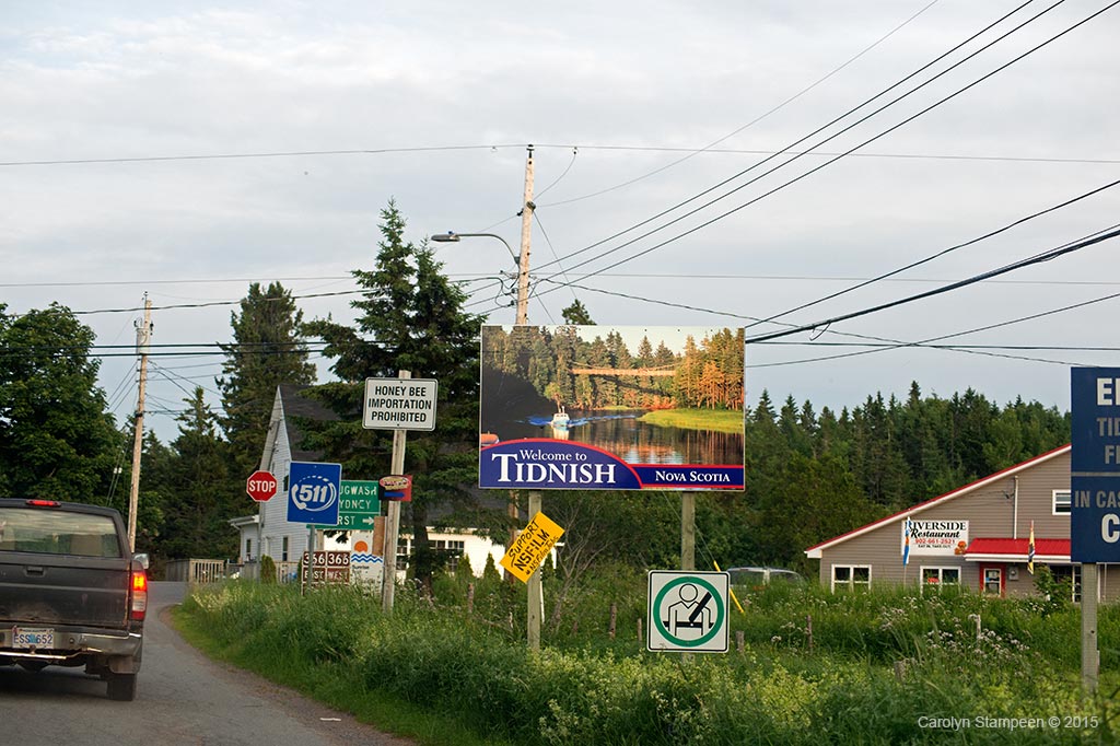 _DSC9907tidnish_1024