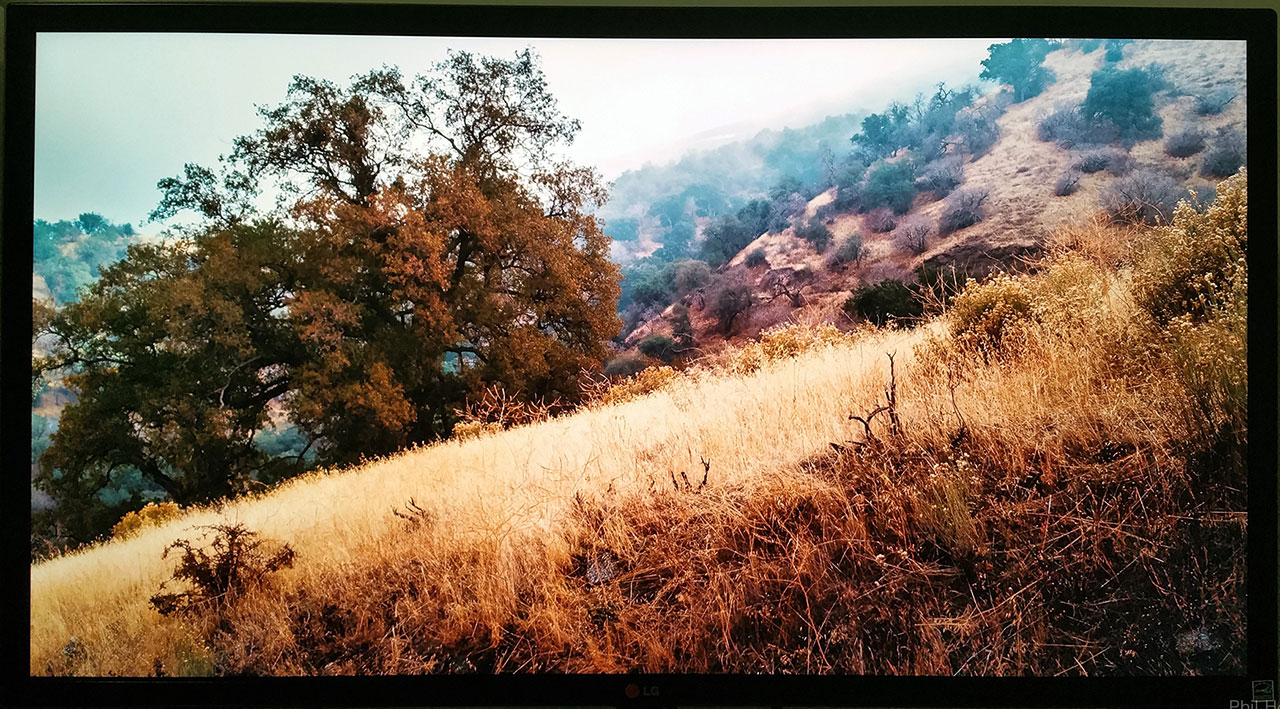 Digital Cinema Display options